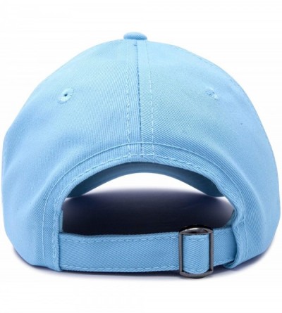 Baseball Caps Turtle Hat Nature Womens Baseball Cap - Light Blue - CY18M9TD02U $9.13