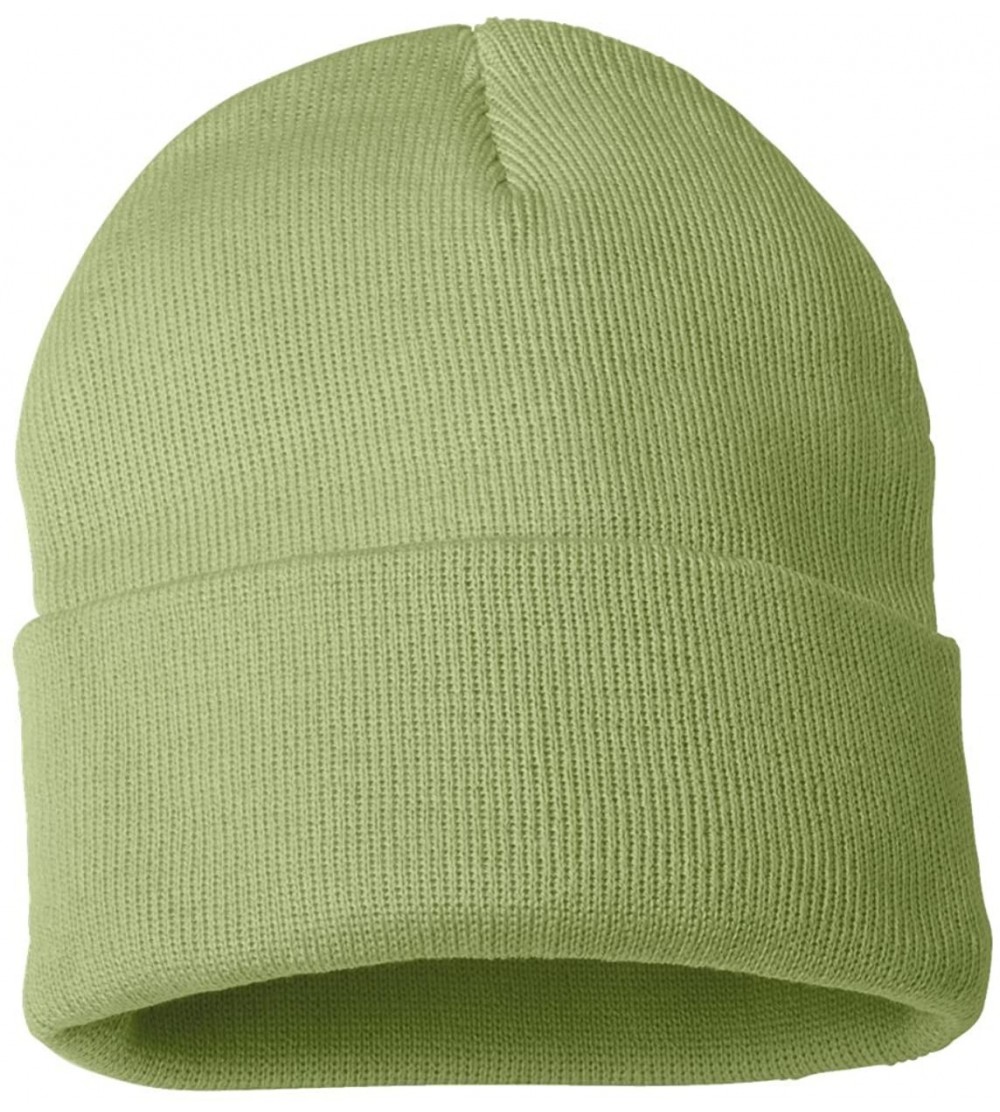 Skullies & Beanies SP12 - 12 Inch Solid Knit Beanie - Pistachio - C412EGZA7XZ $10.43