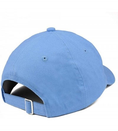Baseball Caps Security Text Embroidered Low Profile Soft Crown Unisex Baseball Dad Hat - Vc300_babyblue - C418RYNKOAY $30.08