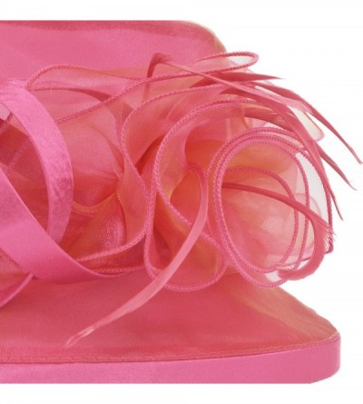 Sun Hats Women's Kentucky Derby Racing Horse Organza Hat Church Wedding Dress Party Occasion Cap - Pink - CG12B3ILWKV $19.34